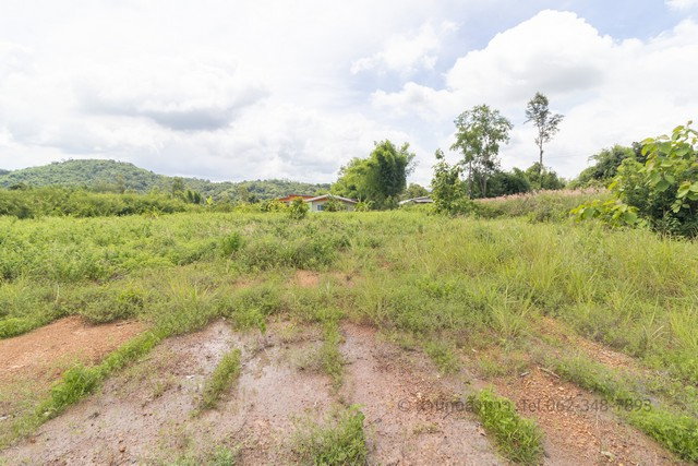 รูป [ขาย] ที่ดินถมแล้ว นครนายก ติดน้ำ วิวสวย ทำบ้านสวนเกษตรในฝัน ใกล้กรุงเทพฯ ด่วน! ฟรีค่าโอน - รูปที่ 3/8