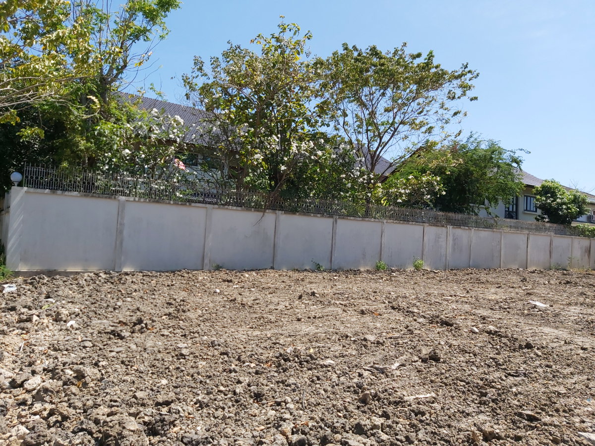 picture The land for rent near MRT Bangkae call 0846383845 - 3/3