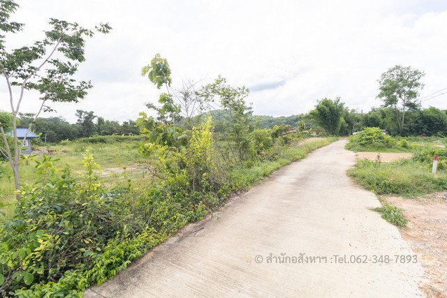 รูป [ขาย] ที่ดินถมแล้ว นครนายก ติดน้ำ วิวสวย ทำบ้านสวนเกษตรในฝัน ใกล้กรุงเทพฯ ด่วน! ฟรีค่าโอน - รูปที่ 1/8