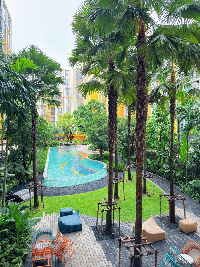 picture For rent 🔥 The base rise phuket  - 11/19