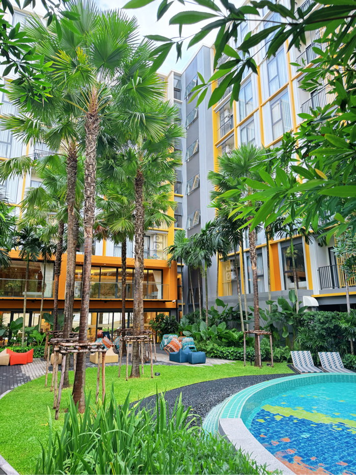 picture For rent 🔥 The base rise phuket  - 10/19