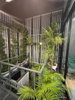 listing thumbnail image 25