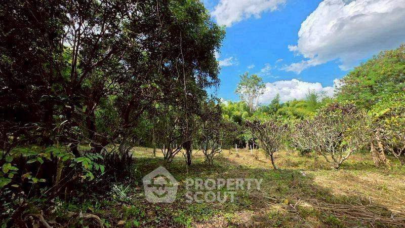 รูป ที่ดินขาย ในแม่แรม แม่ริม เชียงใหม่ (ID 3058471) - รูปที่ 2/10
