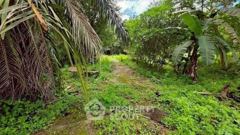 รูป ที่ดินขาย ในแม่แรม แม่ริม เชียงใหม่ (ID 3058471) - รูปที่ 3/10