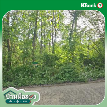 picture LAND 3030 Sq.w. Lom Kao Phetchabun for 985,000 - 12/14