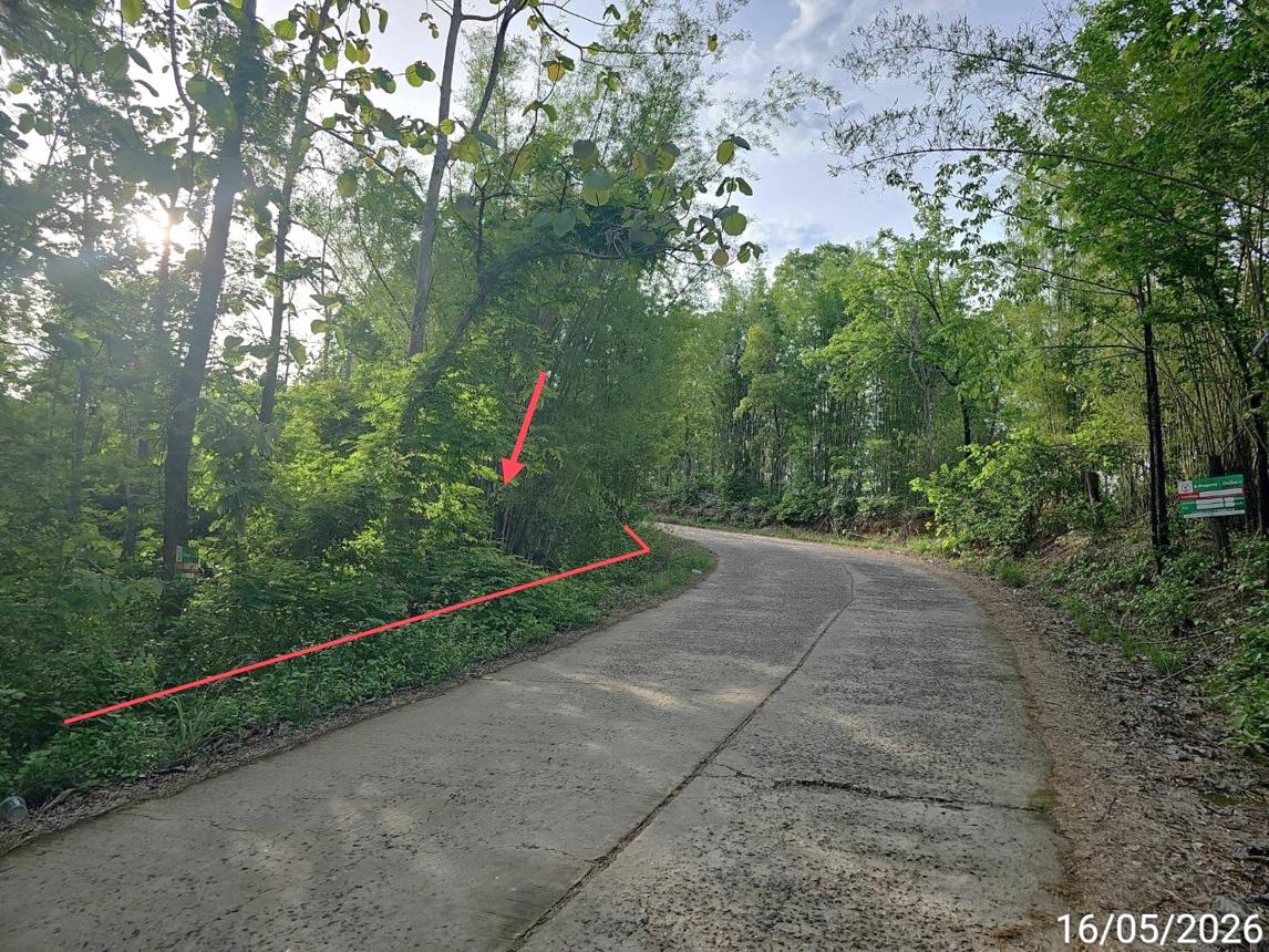picture LAND 3030 Sq.w. Lom Kao Phetchabun for 985,000 - 10/14