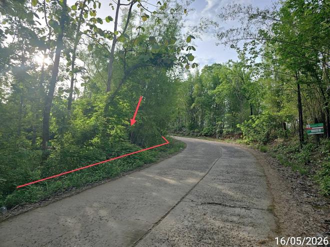 picture LAND 3030 Sq.w. Lom Kao Phetchabun for 985,000 - 5/14