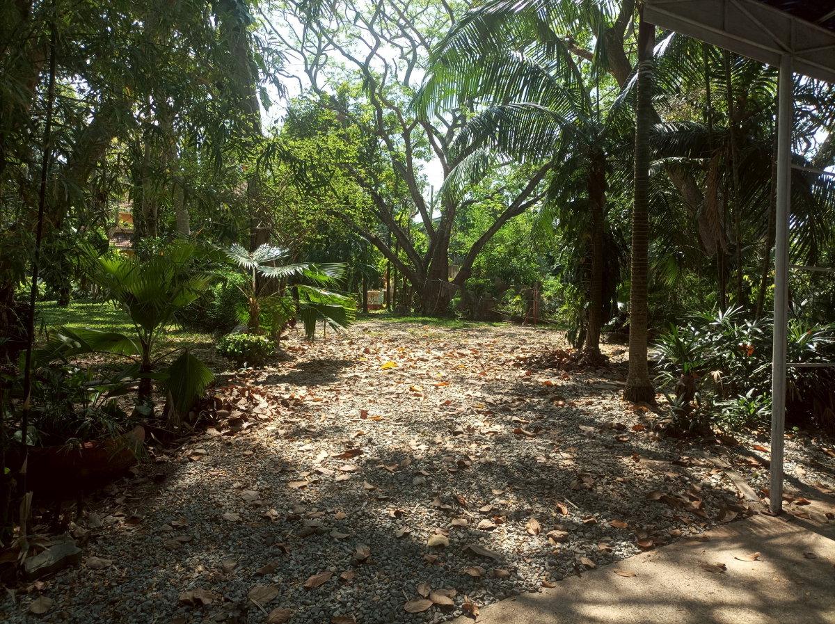 รูป ขายที่ดิน ใกล้ทะเล 150 ม.บรรยากาศดีมาก - รูปที่ 3/8