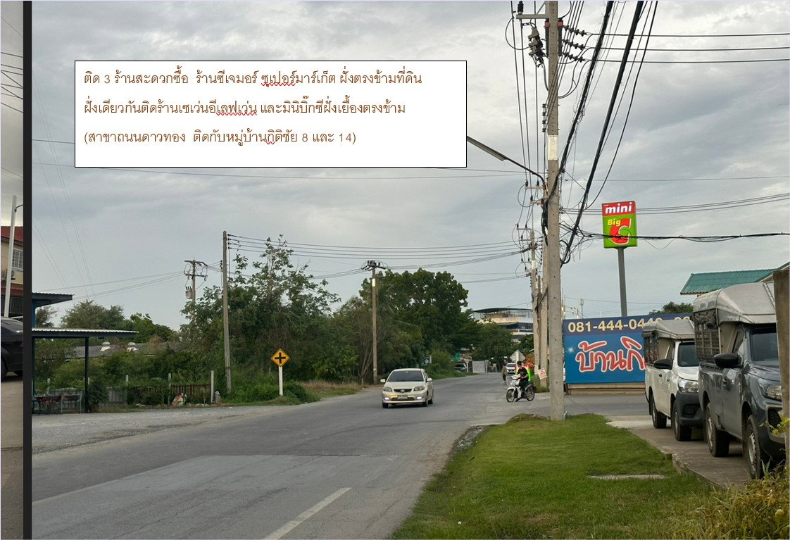 รูป บ้านศาลายา ถนนดาวทอง ต.มหาสวัสดิ์ อ.พุทธมณฑล จ.นครปฐม - รูปที่ 4/6
