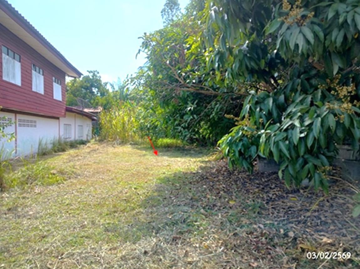 picture LAND 280 Sq.w. Na Kae Nakhon Phanom for 742,000 - 6/14