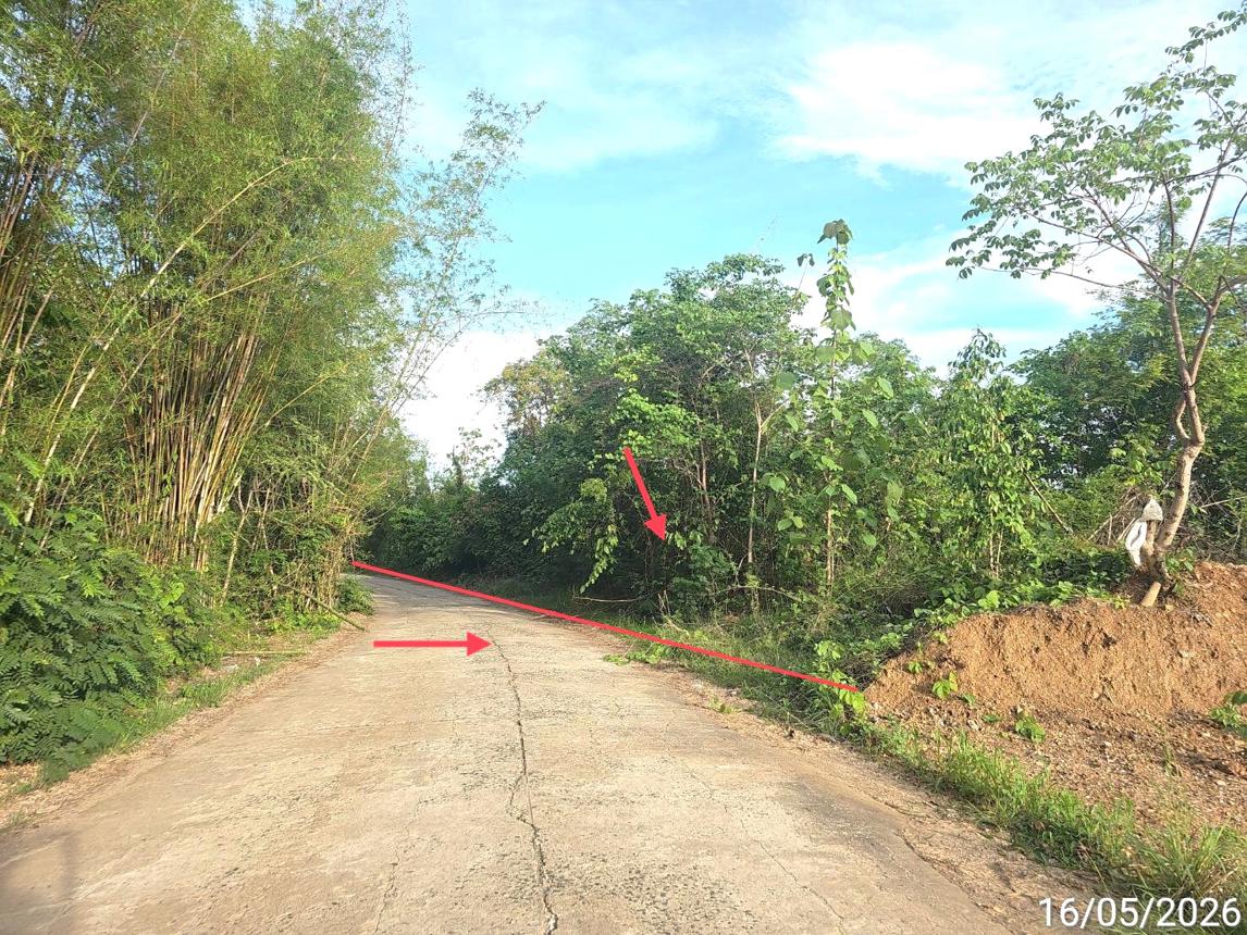 picture LAND 3030 Sq.w. Lom Kao Phetchabun for 985,000 - 8/14