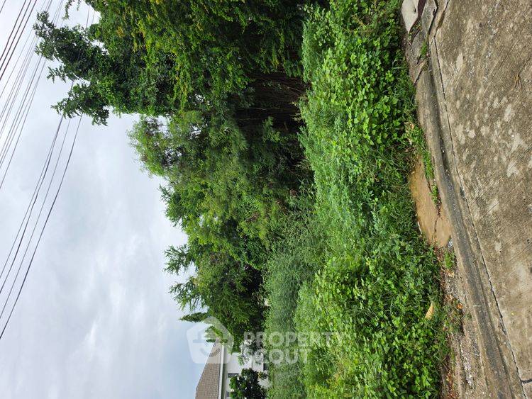 รูป ที่ดิน ขาย ในคลองกุ่ม บึงกุ่ม กรุงเทพมหานคร (ID 3062839) - รูปที่ 2/4