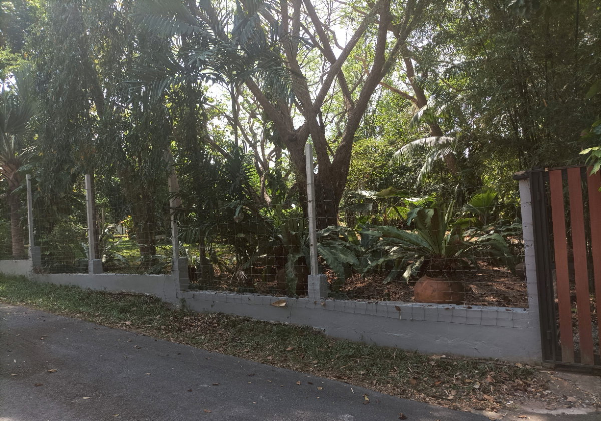 รูป ขายที่ดิน ใกล้ทะเล 150 ม.บรรยากาศดีมาก - รูปที่ 4/8