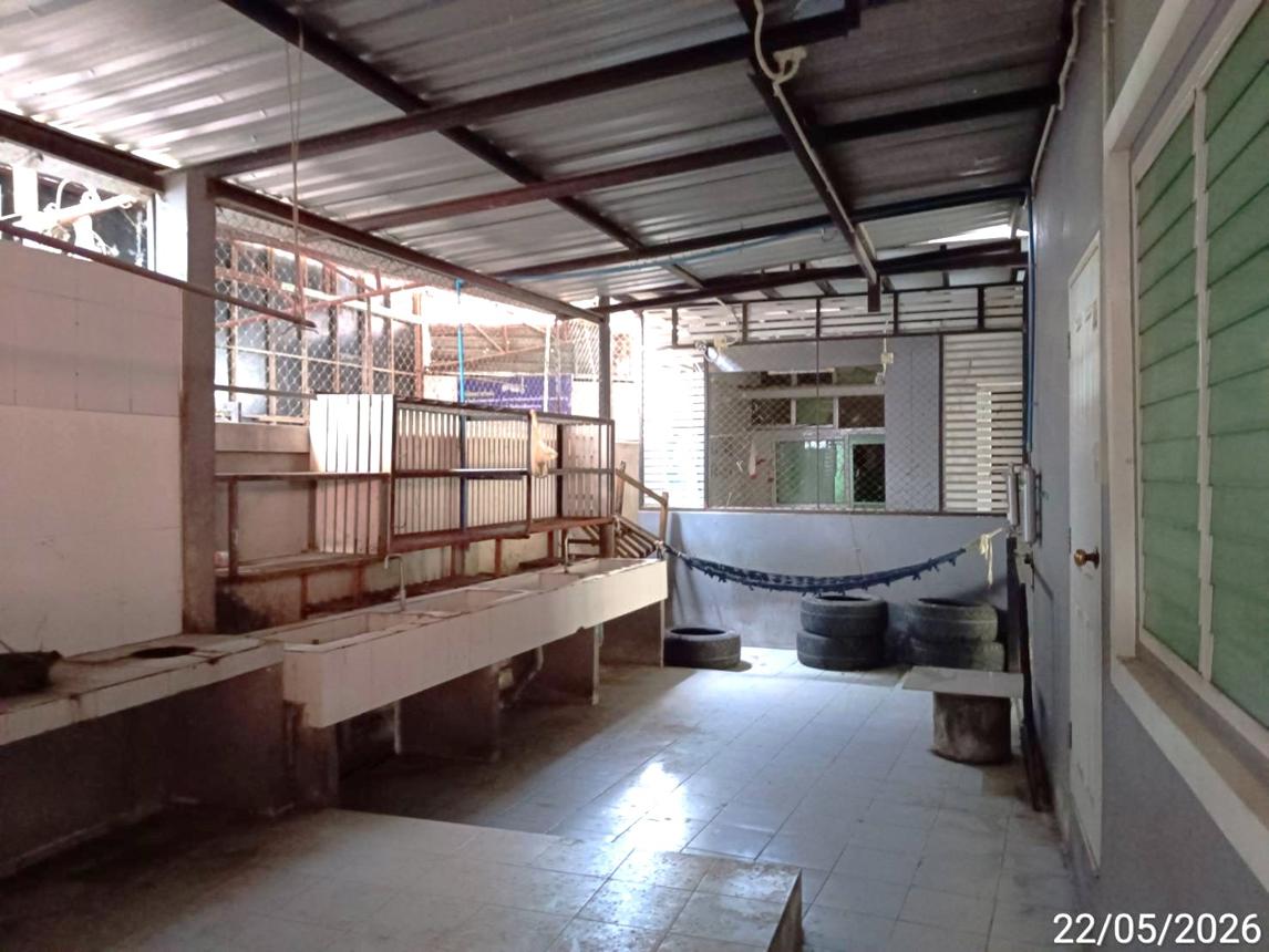 รูป บ้านเดี่ยว 118 ตร.วา แม่สอด ตาก 10.2M - รูปที่ 35/50