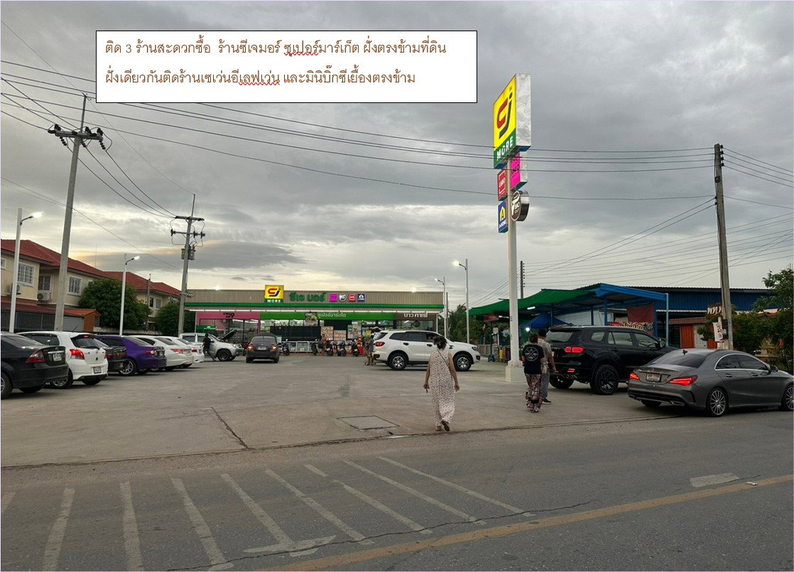 รูป บ้านศาลายา ถนนดาวทอง ต.มหาสวัสดิ์ อ.พุทธมณฑล จ.นครปฐม - รูปที่ 3/6