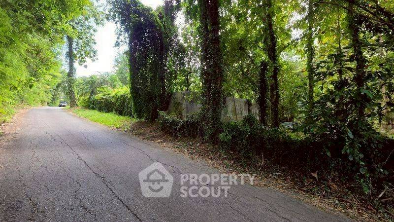 รูป ที่ดินขาย ในแม่แรม แม่ริม เชียงใหม่ (ID 3058471) - รูปที่ 10/10