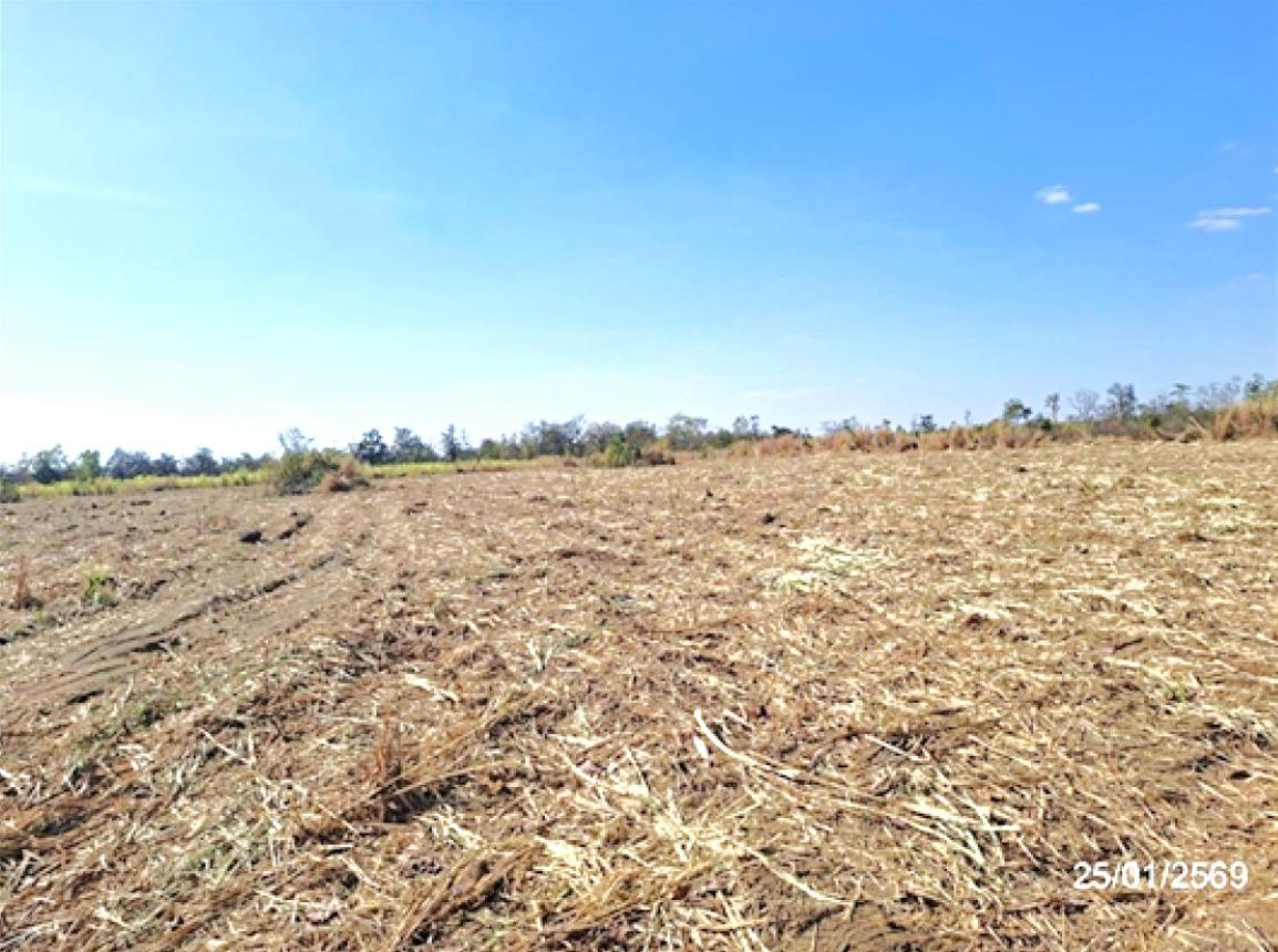 รูป ที่ดินว่างเปล่า 4400 ตร.วา โพนนาแก้ว สกลนคร 770,000 - รูปที่ 8/12