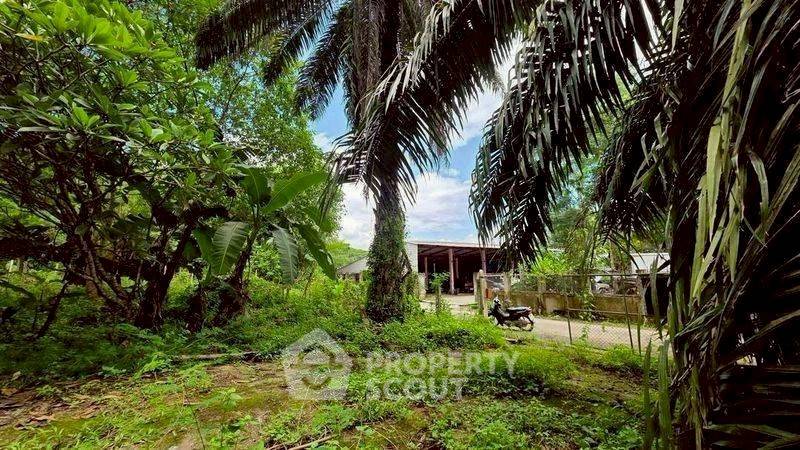 รูป ที่ดินขาย ในแม่แรม แม่ริม เชียงใหม่ (ID 3058471) - รูปที่ 5/10