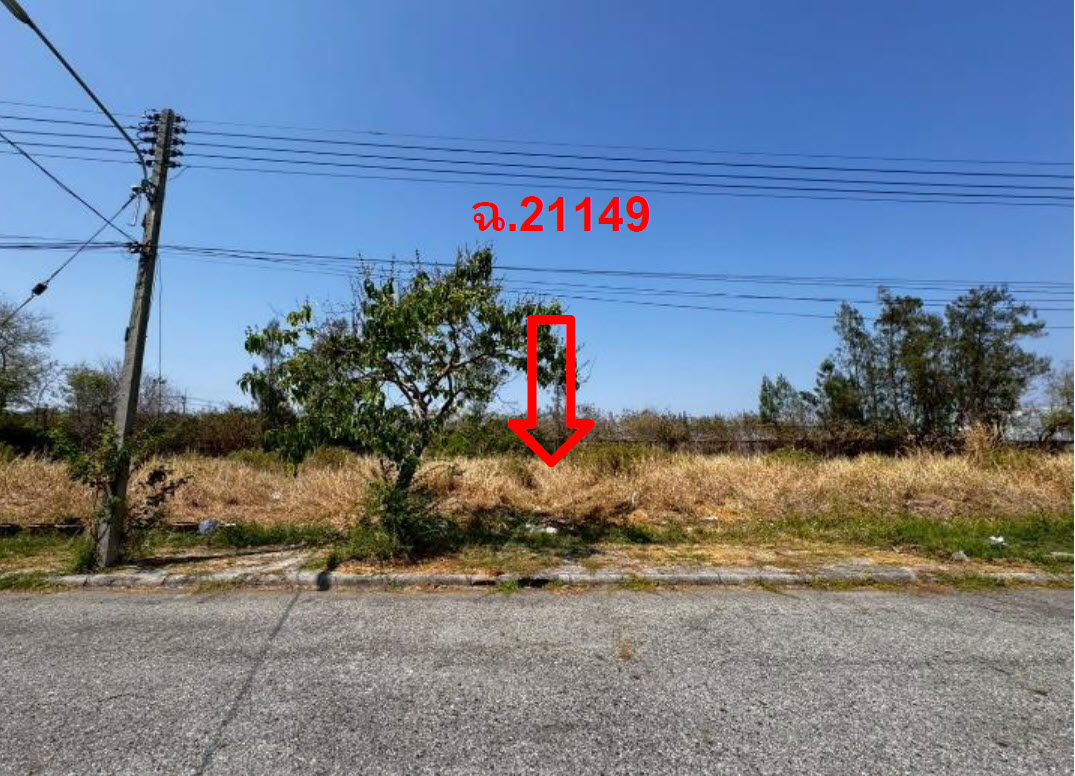 picture LAND 159.7 Sq.w. Bang Pakong Chachoengsao for 3.5M - 2/3