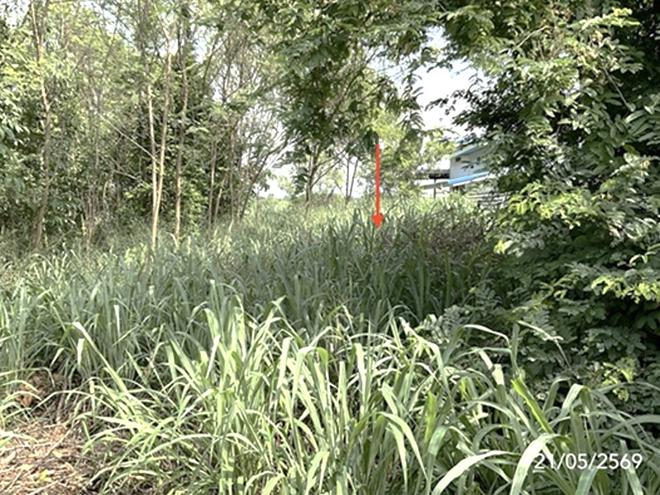 รูป ที่ดินว่างเปล่า 51 ตร.วา ชัยจินดา กบินทร์บุรี ปราจีนบุรี 434,000 - รูปที่ 4/16