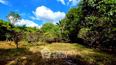 ขายที่ดิน : ที่ดินขาย ในแม่แรม แม่ริม เชียงใหม่ (ID 3058471)