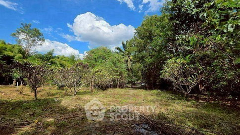 ที่ดินขาย ในแม่แรม แม่ริม เชียงใหม่ (ID 3058471)