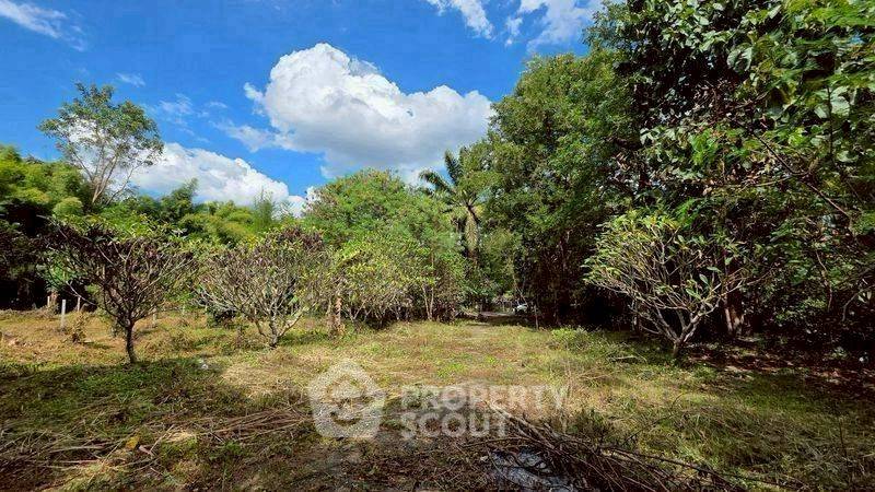 รูป ที่ดินขาย ในแม่แรม แม่ริม เชียงใหม่ (ID 3058471) - รูปที่ 1/10