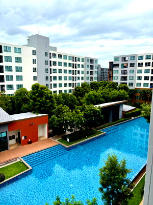 Condos for rent 700 Year Sports Arena Chiang Mai : Forrent d condo nim  Beautiful pool-view 
