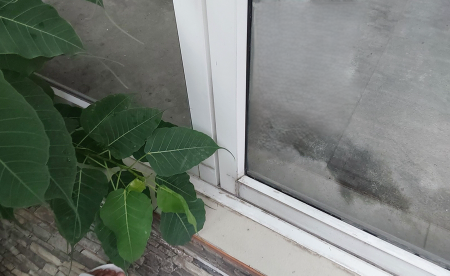 picture TOWN HOUSE 63 Sq.w. Wang Thonglang Bangkok for 14.3M - 6/37