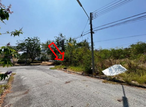 LAND 138.1 Sq.w. Bang Pakong Chachoengsao for 3M
