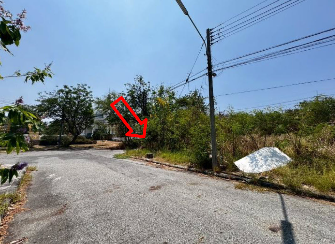 picture LAND 138.1 Sq.w. Bang Pakong Chachoengsao for 3M - 1/3