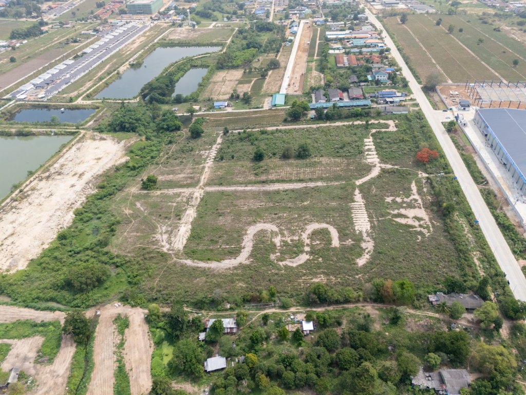 รูป ขายที่ดินผังสีม่วงลาย นิคมพัฒนา ซอย 12 ระยอง 36 ไร่ 3 งาน 67.3 ตร.ว. ติดถนน - รูปที่ 1/5