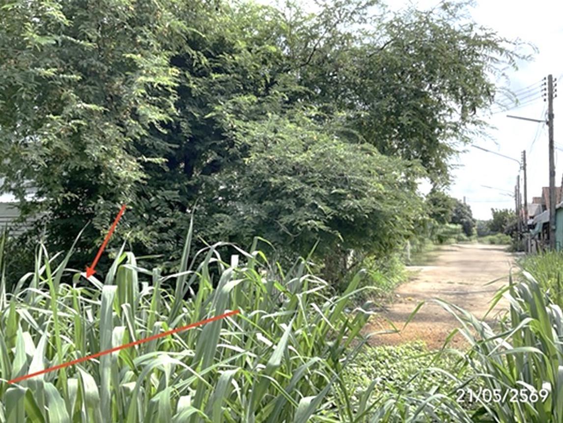 รูป ที่ดินว่างเปล่า 51 ตร.วา ชัยจินดา กบินทร์บุรี ปราจีนบุรี 434,000 - รูปที่ 8/16