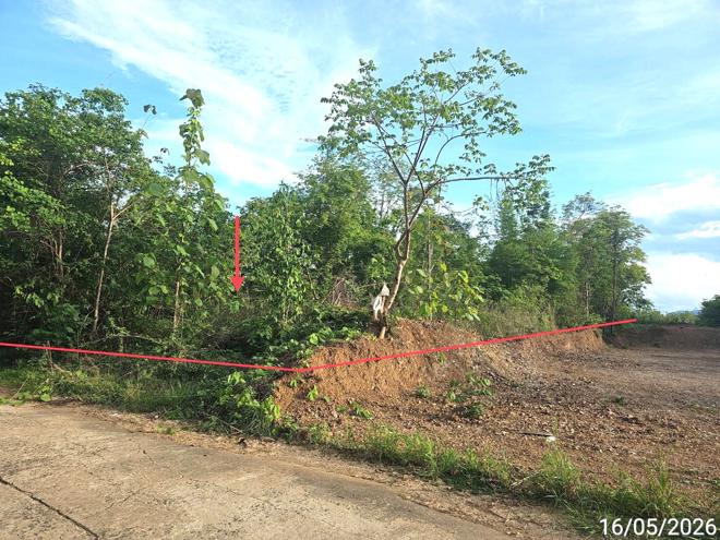 picture LAND 3030 Sq.w. Lom Kao Phetchabun for 985,000 - 4/14