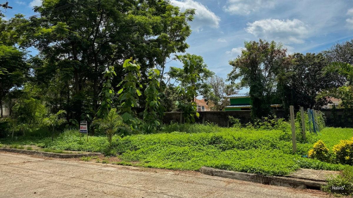 รูป ขายที่ดินสร้างบ้าน 89 ตร.วา Forest Park คลองสามวา ใกล้ IFB ซาฟารีเวิลด์ กรุงเทพฯ - รูปที่ 5/15