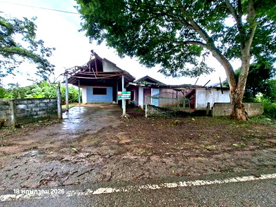 Houses for sale Chiang Rai : HOME 255 Sq.w. Wiang Pa Pao Chiang Rai for 1.3M