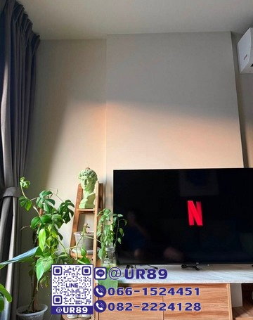 รูป 💙 Hot Price 💙ให้เช่า/For RENT คอนโด The Base Sukhumvit 50 (เดอะ เบส สุขุมวิท 50) - รูปที่ 3/6