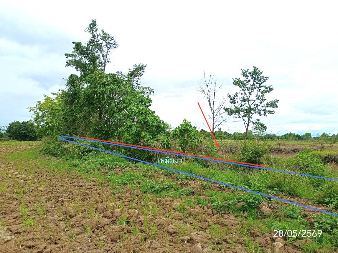 รูป ที่ดินว่างเปล่า 1292.7 ตร.วา เมืองพะเยา พะเยา 1.1M - รูปที่ 7/12