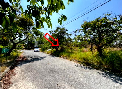 LAND 161.8 Sq.w. Bang Pakong Chachoengsao for 3.6M