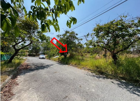 LAND 161.8 Sq.w. Bang Pakong Chachoengsao for 3.6M