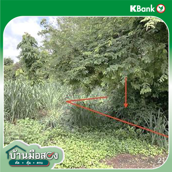 รูป ที่ดินว่างเปล่า 51 ตร.วา ชัยจินดา กบินทร์บุรี ปราจีนบุรี 434,000 - รูปที่ 14/16