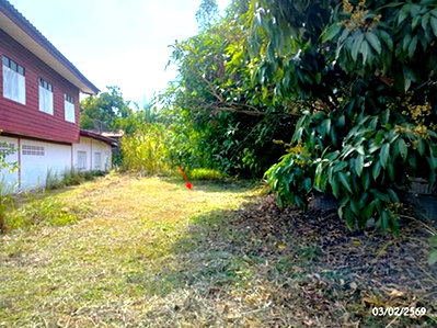 Land for sale Na Kae Nakhon Phanom : LAND 280 Sq.w. Na Kae Nakhon Phanom for 742,000