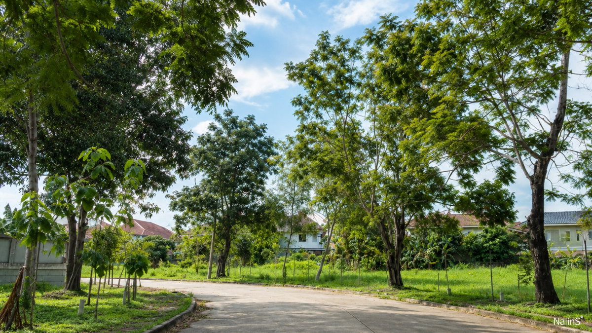 รูป ขายที่ดินสร้างบ้าน 89 ตร.วา Forest Park คลองสามวา ใกล้ IFB ซาฟารีเวิลด์ กรุงเทพฯ - รูปที่ 6/15