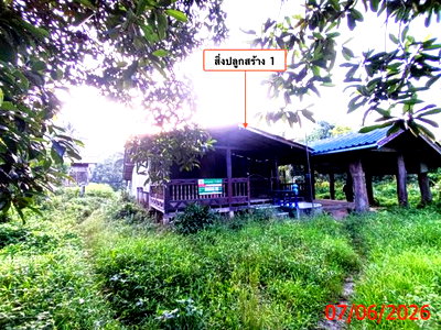 ขายบ้านเดี่ยว : บ้านเดี่ยว 672 ตร.วา นาทวี สงขลา 802,000