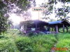 listing thumbnail image 30