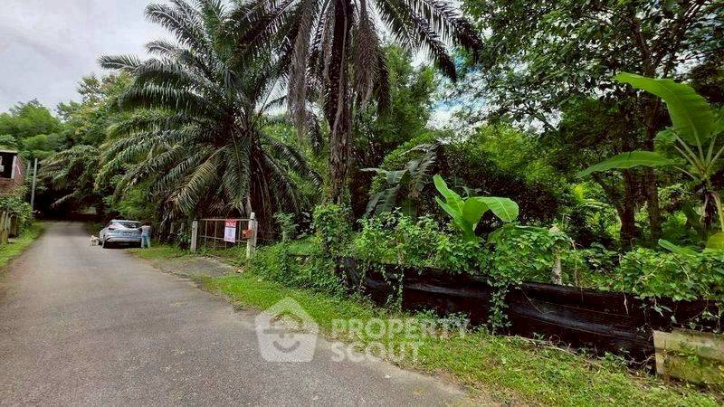 รูป ที่ดินขาย ในแม่แรม แม่ริม เชียงใหม่ (ID 3058471) - รูปที่ 4/10