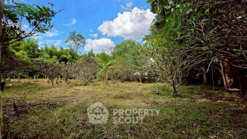 รูป ที่ดินขาย ในแม่แรม แม่ริม เชียงใหม่ (ID 3058471) - รูปที่ 7/10