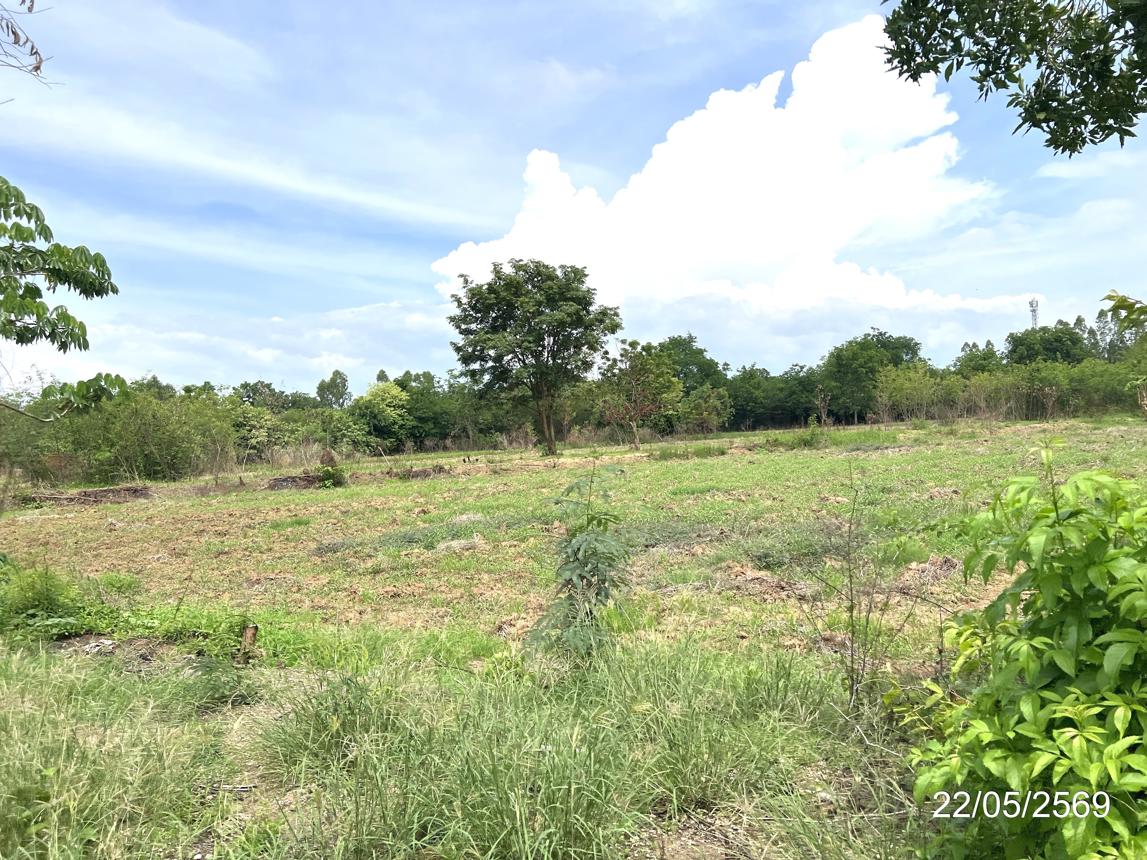 รูป ที่ดินว่างเปล่า 9263 ตร.วา วัฒนานคร สระแก้ว 9.7M - รูปที่ 10/14