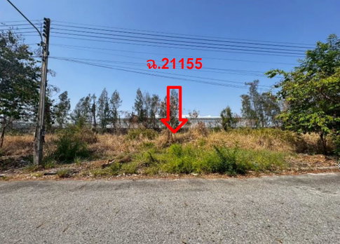 ที่ดินเปล่า 160.6 ตร.วา วิจิตราธานี อำเภอบางปะกง จังหวัดฉะเชิงเทรา 3.5M