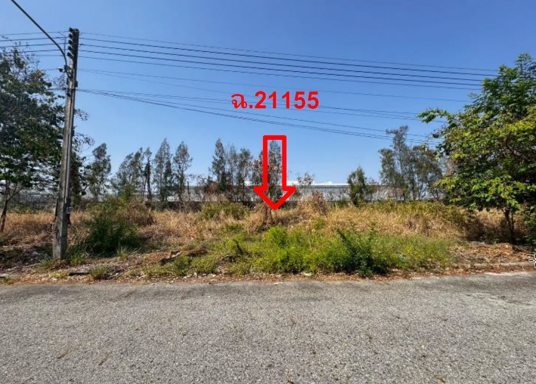 รูป ที่ดินเปล่า 160.6 ตร.วา วิจิตราธานี อำเภอบางปะกง จังหวัดฉะเชิงเทรา 3.5M - รูปที่ 1/3
